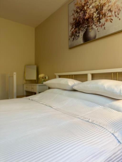 Stylish 2 Bedrooms Flat In A Quiet Cul-De-Sac Area, Near Sheffield City Centre With Free Parking Exterior photo