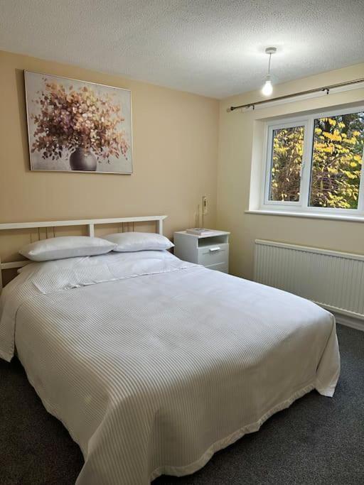 Stylish 2 Bedrooms Flat In A Quiet Cul-De-Sac Area, Near Sheffield City Centre With Free Parking Exterior photo